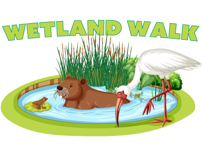 Discovery Center Wetland Walk