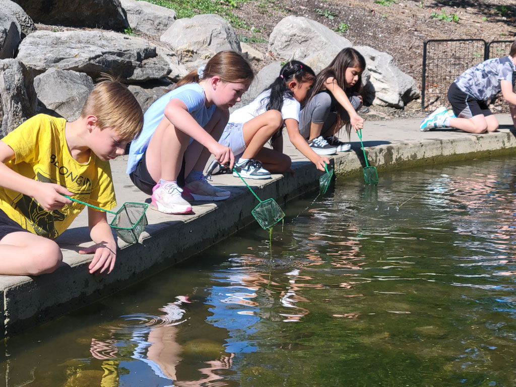 Guided Field Trips at Discovery Center
